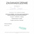 Powiększ obraz: certificate 11