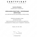 Powiększ obraz: certificate 26