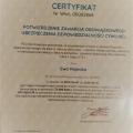 Powiększ obraz: certificate 2