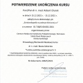 Powiększ obraz: certificate 11