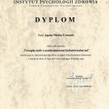 Powiększ obraz: certificate 8