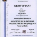 Powiększ obraz: certificate 19