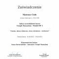 Powiększ obraz: certificate 29