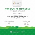 Powiększ obraz: certificate 31