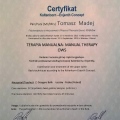 Powiększ obraz: certificate 9