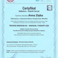 Powiększ obraz: certificate 1