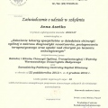 Powiększ obraz: certificate 31