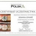 Powiększ obraz: certificate 2