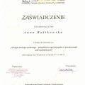 Powiększ obraz: certificate 6