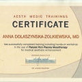Powiększ obraz: certificate 28