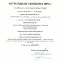 Powiększ obraz: certificate 21