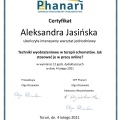 Powiększ obraz: certificate 2