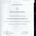 Powiększ obraz: certificate 2