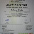 Powiększ obraz: certificate 3