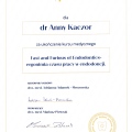 Powiększ obraz: certificate 14