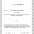 Powiększ obraz: certificate 8
