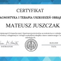 Powiększ obraz: certificate 10