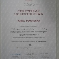 Powiększ obraz: certificate 4