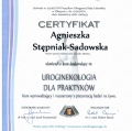 Powiększ obraz: certificate 3
