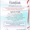 Powiększ obraz: certificate 4
