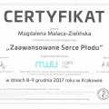Powiększ obraz: certificate 4