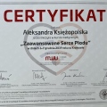 Powiększ obraz: certificate 13