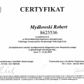 Powiększ obraz: certificate 5