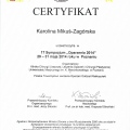 Powiększ obraz: certificate 8