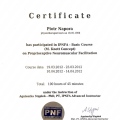 Powiększ obraz: certificate 8