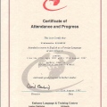 Powiększ obraz: certificate 14