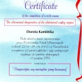 Powiększ obraz: certificate 4