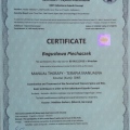 Powiększ obraz: certificate 2