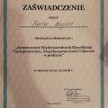 Powiększ obraz: certificate 7