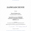 Powiększ obraz: certificate 7