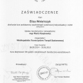Powiększ obraz: certificate 5