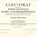Powiększ obraz: certificate 5