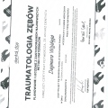 Powiększ obraz: certificate 4