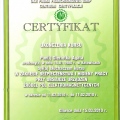 Powiększ obraz: certificate 43