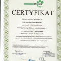 Powiększ obraz: certificate 3