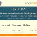 Powiększ obraz: certificate 46