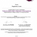 Powiększ obraz: certificate 2