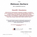 Powiększ obraz: certificate 24
