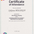 Powiększ obraz: certificate 3