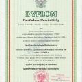 Powiększ obraz: certificate 2
