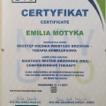 Powiększ obraz: certificate 3