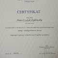 Powiększ obraz: certificate 41
