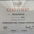 Powiększ obraz: certificate 22
