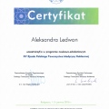 Powiększ obraz: certificate 14