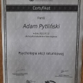 Powiększ obraz: certificate 2