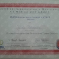 Powiększ obraz: certificate 6
